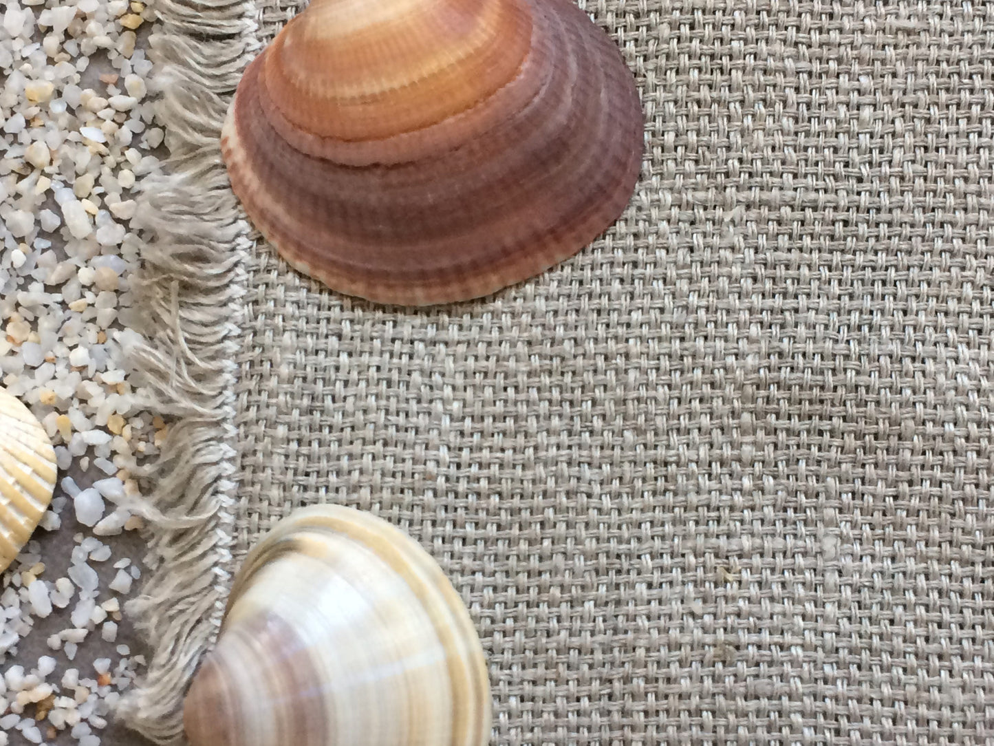 Minimalistic Natural Linen Rug with Fringes